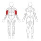 copy of copy of Abducteur M918 - Technogym