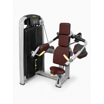 Delts machine Technogym Selection - Muscles deltoïdes