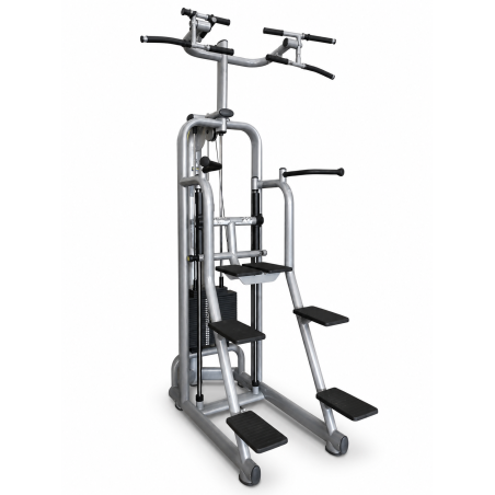Easy Chin Dip Technogym Selection