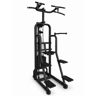 Easy Chin Dip Technogym Selection