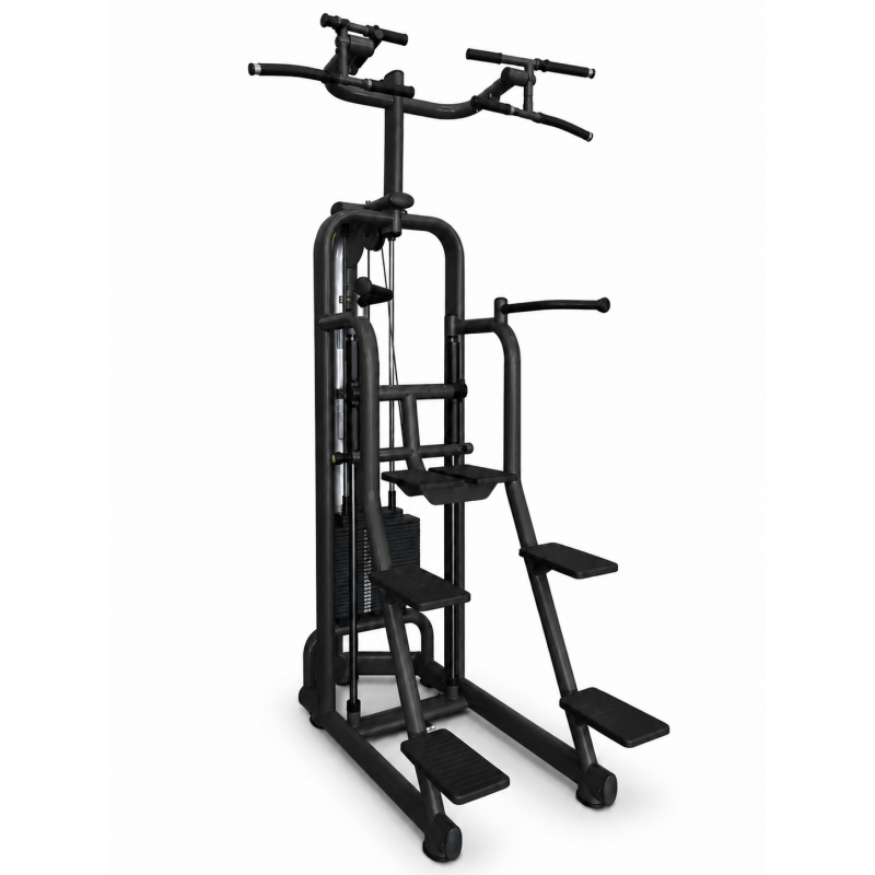 Easy Chin Dip Technogym Selection Easy Chin Dip Technogym Selection