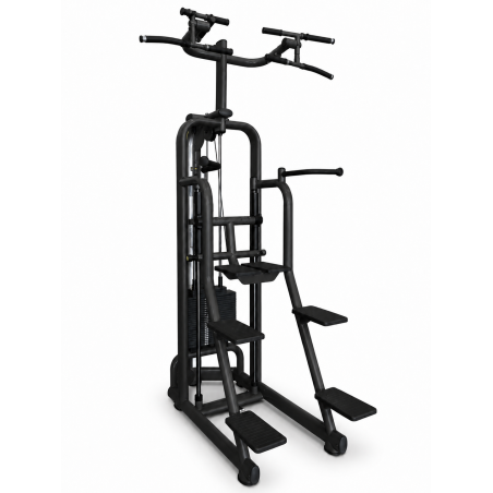 Easy Chin Dip Technogym Selection