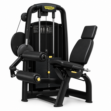 Leg curl Technogym Selection - Extension des jambes