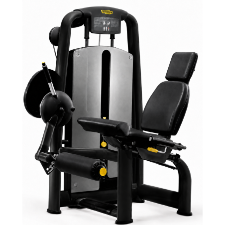 Machine à Jambes Quadriceps Technogym Selection - Leg extension