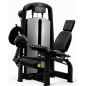 Machine à Jambes Quadriceps Technogym Selection - Leg extension Machine à Jambes Quadriceps Technogym Selection - Leg extension