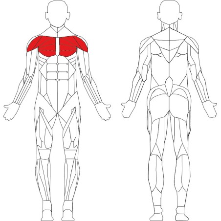 copy of copy of copy of copy of copy of copy of copy of copy of copy of copy of copy of Abducteur M918 - Technogym