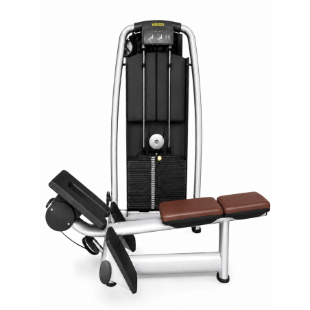 Pulley Technogym Selection - Poulie basse