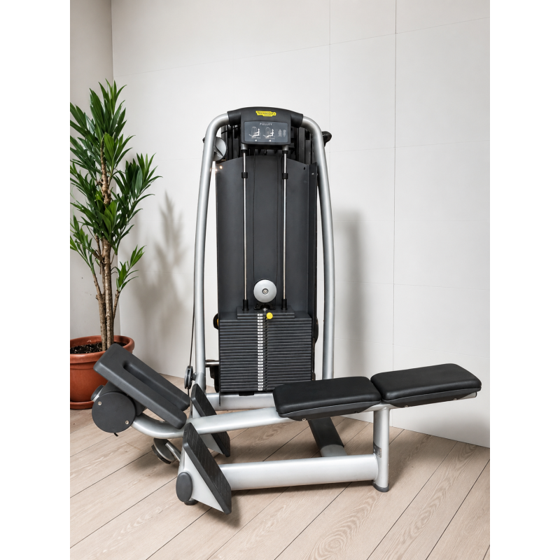 Pulley Technogym Selection Pulley Technogym Selection