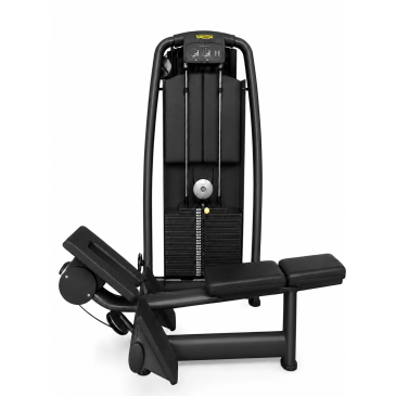 Pulley Technogym Selection - Poulie basse