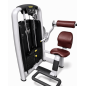 Machine à Lombaires Technogym Selection -  Lower back