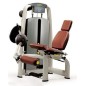 Machine à Jambes Quadriceps Technogym Selection - Leg extension