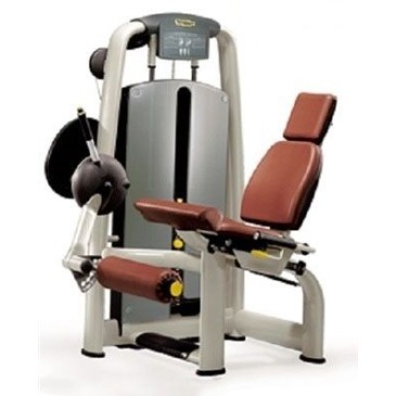 Leg extension Technogym Selection - Quadriceps