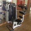 Technogym Selection rotary torso